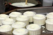 Экскурсия из Болоньи на био-производство тосканских сыров (фото 3)